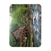 USA, West Virginia, Babcock SP. Rustic Glade Magnet (Vertikal)