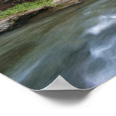 USA, West Virginia, Babcock SP. Rustic Glade Poster (Ecke)