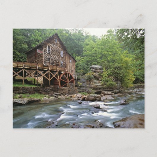 USA, West Virginia, Babcock SP. Rustic Glade Postkarte (Vorderseite)