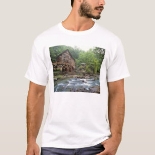 USA, West Virginia, Babcock SP. Rustic Glade T-Shirt
