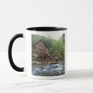 USA, West Virginia, Babcock SP. Rustic Glade Tasse