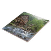 USA, West Virginia, Babcock SP. Rustikal Fliese (Seite)