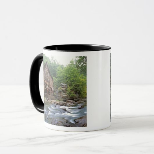 USA, West Virginia, Babcock SP. Rustikal Tasse (Vorderseite Links)
