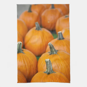 USA, West Virginia, Charleston. Hauptstadt 2 Küchentuch