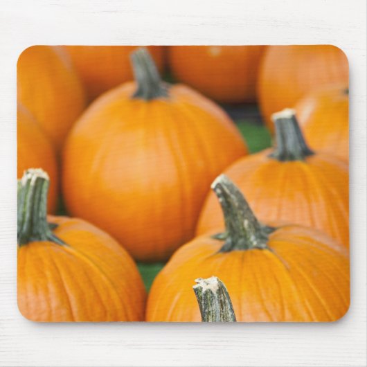 USA, West Virginia, Charleston. Hauptstadt 2 Mousepad (Vorne)