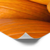 USA, West Virginia, Charleston. HAUPTSTADT 2 Poster (Ecke)