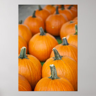 USA, West Virginia, Charleston. HAUPTSTADT 2 Poster