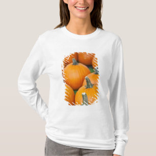 USA, West Virginia, Charleston. Kapitol 2 T-Shirt