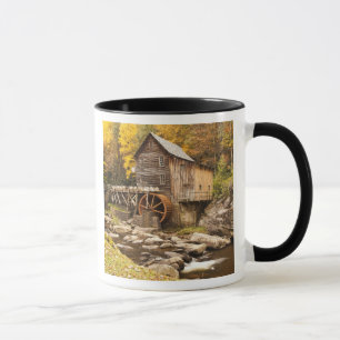 USA, West Virginia, Clifftop. Babcock State 2 Tasse