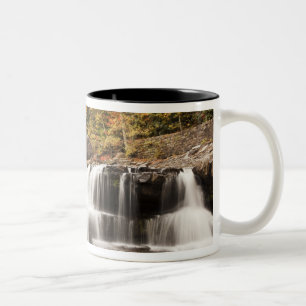 USA, West Virginia, Clifftop. Babcock State Zweifarbige Tasse