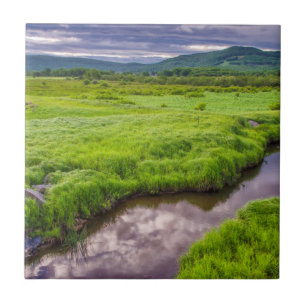 USA, West Virginia, Davis. Landschaft 2 Fliese