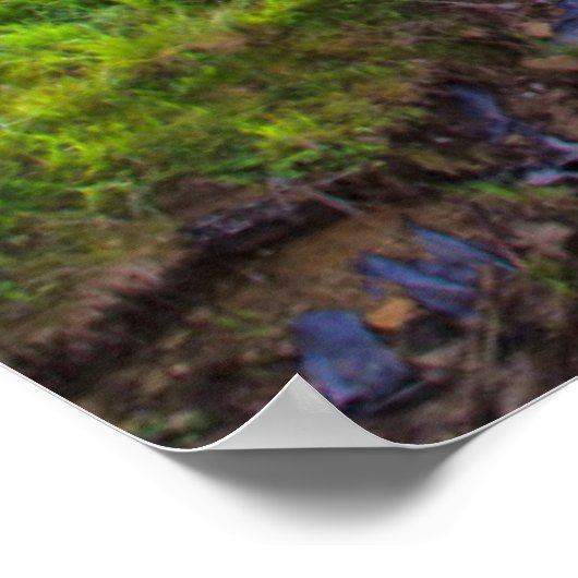 USA, West Virginia, Davis. Landschaft 2 Poster (Ecke)