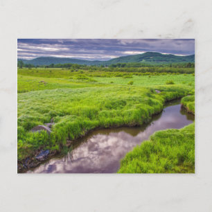 USA, West Virginia, Davis. Landschaft 2 Postkarte