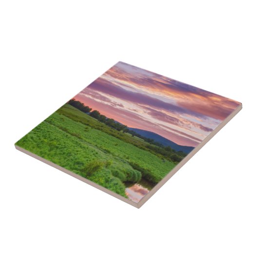 USA, West Virginia, Davis.Landschaft Fliese (Seite)