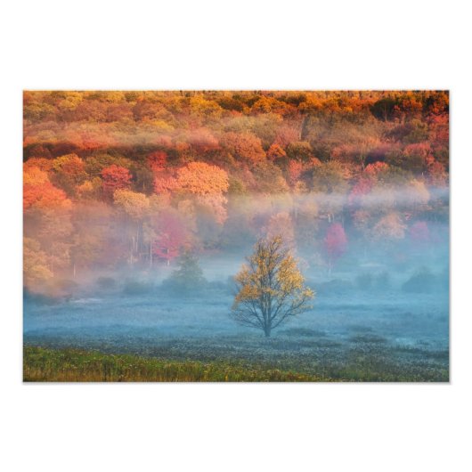 USA, West Virginia, Davis. Misty Tal und Fotodruck (Vorne)