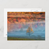 USA, West Virginia, Davis. Misty Tal und Postkarte (Vorne/Hinten)