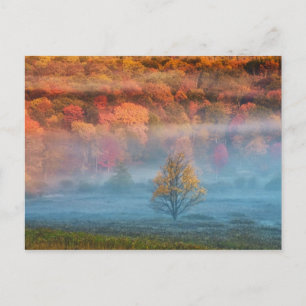 USA, West Virginia, Davis. Misty Tal und Postkarte