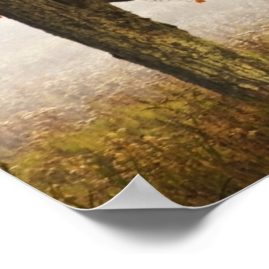 USA, West Virginia, Davis. Rotapfel im Herbst Poster (Ecke)