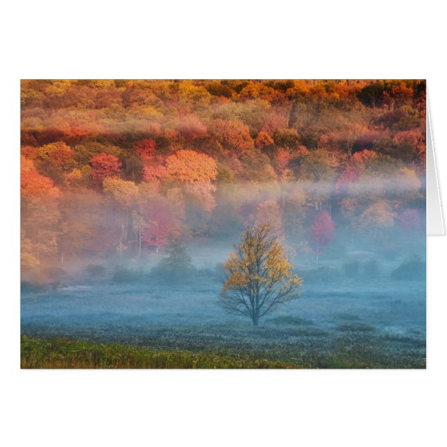 USA, West Virginia, Davis. Tal der Misti und (Vorderseite (Horizontal))