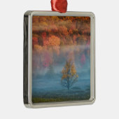 USA, West Virginia, Davis. Tal der Misti und Silbernes Ornament (Rechts)