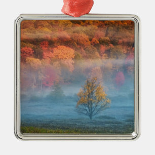 USA, West Virginia, Davis. Tal der Misti und Silbernes Ornament