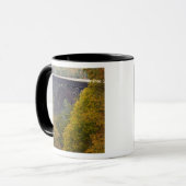 USA, West Virginia, Fayetteville. Neufluss Tasse (Vorderseite Links)