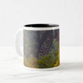 USA, West Virginia, Fayetteville. Neufluss Zweifarbige Tasse (Vorderseite Links)