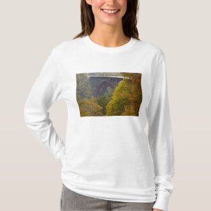 USA, West Virginia, Fayetteville. New River T-Shirt