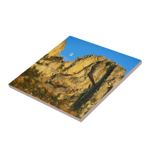 USA, West Virginia, Spruce Knob-Seneca Rocks 2 Fliese (Seite)