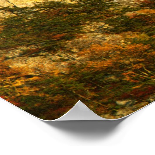 USA, West Virginia, Spruce Knob-Seneca Rocks 2 Poster (Ecke)