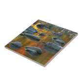 USA, West Virginia, Spruce Knob-Seneca Rocks 3 Fliese (Seite)