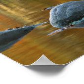 USA, West Virginia, Spruce Knob-Seneca Rocks 3 Poster (Ecke)