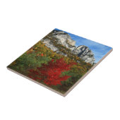 USA, West Virginia, Spruce Knob-Seneca Rocks Fliese (Seite)