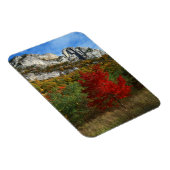 USA, West Virginia, Spruce Knob-Seneca Rocks Magnet (Rechte Seite)