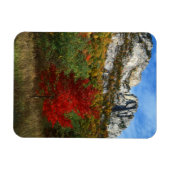 USA, West Virginia, Spruce Knob-Seneca Rocks Magnet (Horizontal)