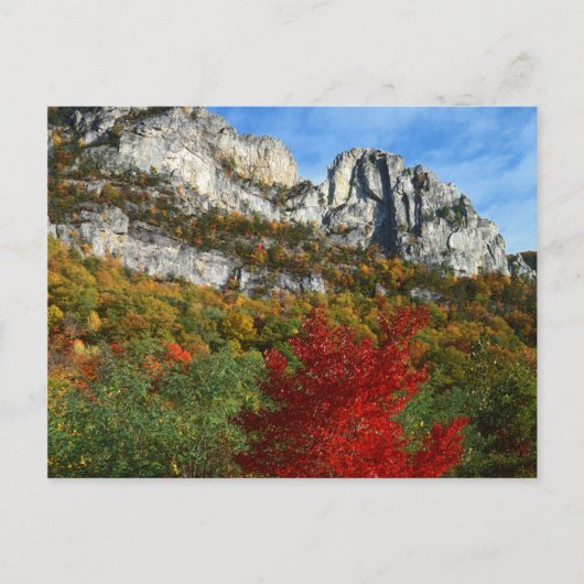 USA, West Virginia, Spruce Knob-Seneca Rocks Postkarte (Vorderseite)