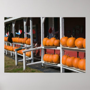 USA, WISCONSIN, Waschbrand: Superior Shore Poster