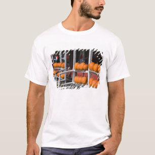 USA, WISCONSIN, Washburn: Ufer des Lake Superior, T-Shirt
