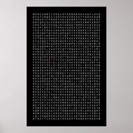 USA Wortsuche Poster (Vorne)