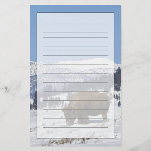 USA, WY, Yellowstone NP, American Bison Bison Briefpapier (Vorderseite)