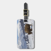 USA, WY, Yellowstone NP, American Bison Bison Gepäckanhänger (Vorderseite vertikal)