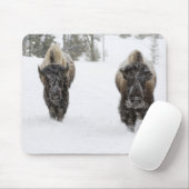 USA, WY, Yellowstone NP, American Bison (Bison) Mousepad (Mit Mouse)