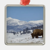 USA, WY, Yellowstone NP, American Bison Bison Ornament Aus Metall (Vorne)