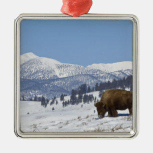 USA, WY, Yellowstone NP, American Bison Bison Ornament Aus Metall