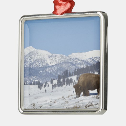 USA, WY, Yellowstone NP, American Bison Bison Ornament Aus Metall (Links)