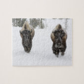 USA, WY, Yellowstone NP, American Bison (Bison) Puzzle (Horizontal)