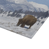 USA, WY, Yellowstone NP, American Bison Bison Schneidebrett (Ecke)