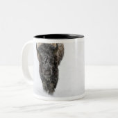 USA, WY, Yellowstone NP, American Bison (Bison) Zweifarbige Tasse (Vorderseite Links)