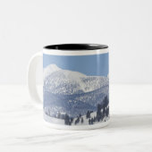 USA, WY, Yellowstone NP, American Bison Bison Zweifarbige Tasse (Vorderseite Links)