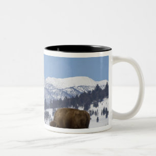 USA, WY, Yellowstone NP, American Bison Bison Zweifarbige Tasse